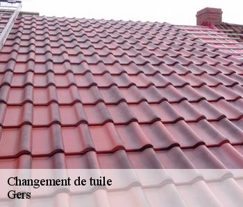 Changement de tuile Gers