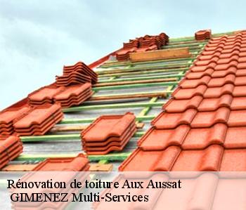 Rénovation de toiture  aux-aussat-32170  GIMENEZ Multi-Services