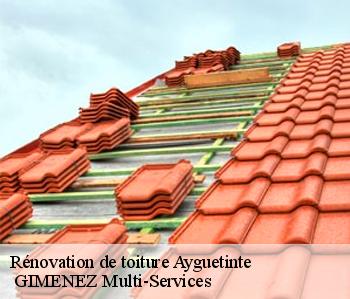 Rénovation de toiture  ayguetinte-32410  GIMENEZ Multi-Services