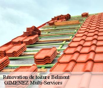 Rénovation de toiture  belmont-32190  GIMENEZ Multi-Services