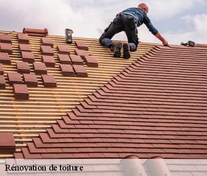 Rénovation de toiture lagraulet-du-gers-32330 GR Couverture 32