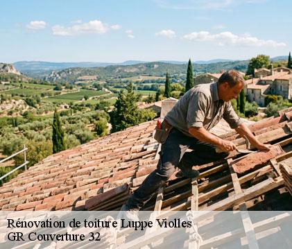 Rénovation de toiture luppe-violles-32110 GR Couverture 32