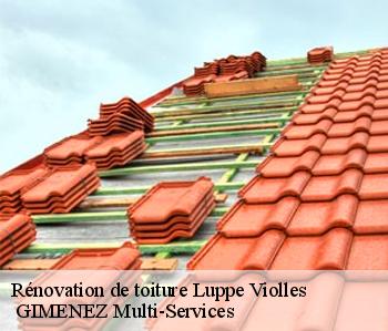 Rénovation de toiture luppe-violles-32110 GIMENEZ Multi-Services