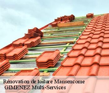 Rénovation de toiture  mansencome-32310  GIMENEZ Multi-Services