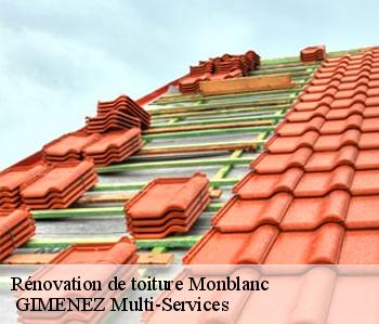 Rénovation de toiture  monblanc-32130  GIMENEZ Multi-Services