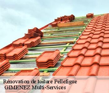 Rénovation de toiture  pellefigue-32420  GIMENEZ Multi-Services