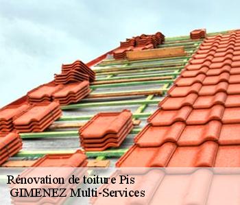 Rénovation de toiture  pis-32500  GIMENEZ Multi-Services