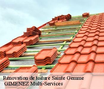 Rénovation de toiture  sainte-gemme-32120  GIMENEZ Multi-Services