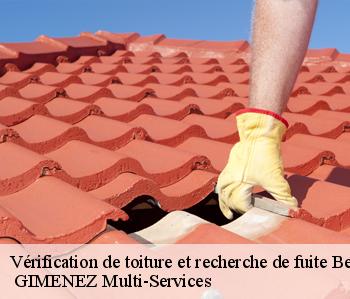 Vérification de toiture et recherche de fuite  beaucaire-32410  GIMENEZ Multi-Services