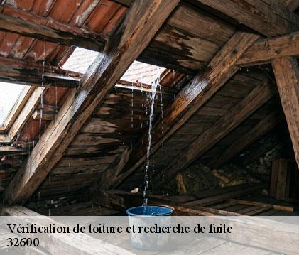 Vérification de toiture et recherche de fuite endoufielle-32600 GR Couverture 32
