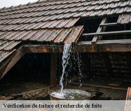 Vérification de toiture et recherche de fuite endoufielle-32600 GR Couverture 32