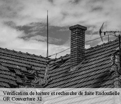 Vérification de toiture et recherche de fuite endoufielle-32600 GR Couverture 32