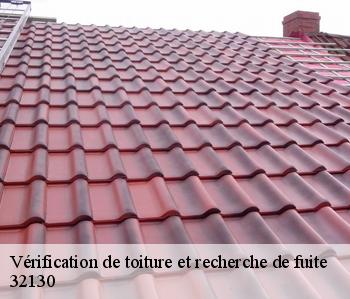 Vérification de toiture et recherche de fuite 32130