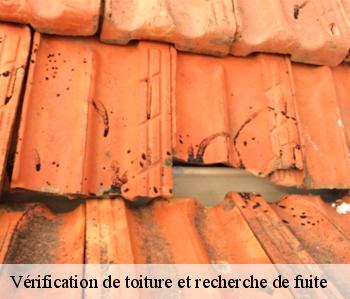 Vérification de toiture et recherche de fuite