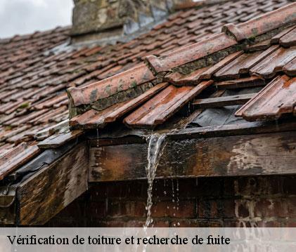 Vérification de toiture et recherche de fuite noilhan-32130 GR Couverture 32