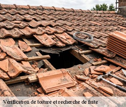 Vérification de toiture et recherche de fuite noilhan-32130 GR Couverture 32