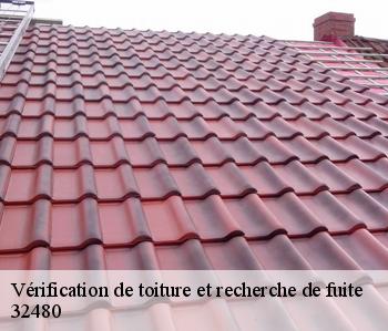 Vérification de toiture et recherche de fuite  32480