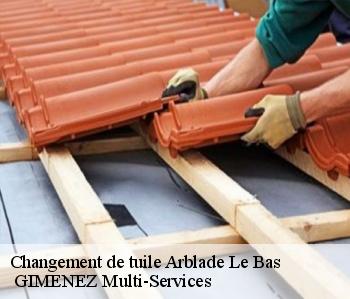 Changement de tuile  arblade-le-bas-32720  GIMENEZ Multi-Services