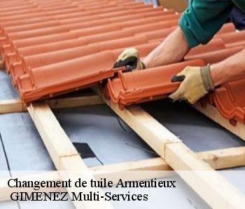 Changement de tuile  armentieux-32230  GIMENEZ Multi-Services