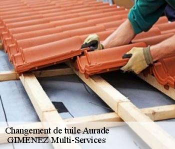 Changement de tuile  aurade-32600  GIMENEZ Multi-Services