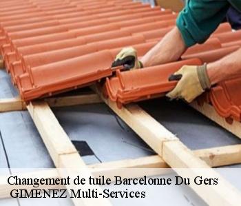 Changement de tuile  barcelonne-du-gers-32720  GIMENEZ Multi-Services