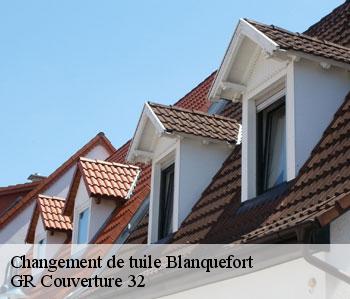 Changement de tuile blanquefort-32270 GR Couverture 32