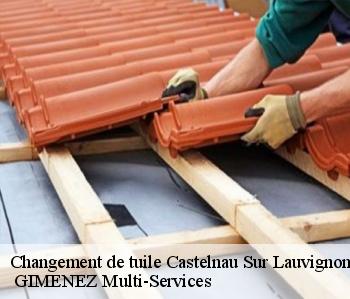 Changement de tuile castelnau-sur-lauvignon-32100 GIMENEZ Multi-Services