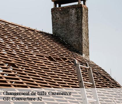 Changement de tuile  cazeneuve-32800 GR Couverture 32