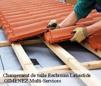 Changement de tuile esclassan-labastide-32140 GIMENEZ Multi-Services