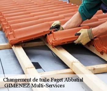 Changement de tuile faget-abbatial-32450 GIMENEZ Multi-Services