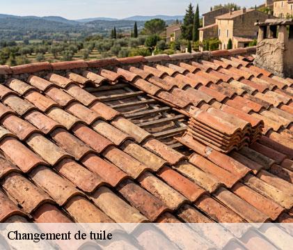 Changement de tuile lahas-32130 GR Couverture 32