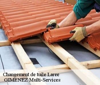 Changement de tuile laree-32150 GIMENEZ Multi-Services