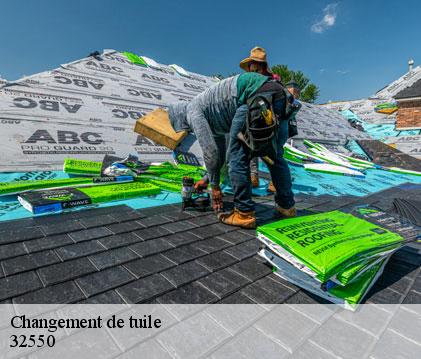 Changement de tuile lasseube-propre-32550 GR Couverture 32