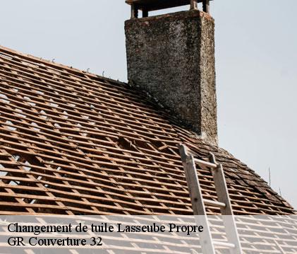Changement de tuile lasseube-propre-32550 GR Couverture 32