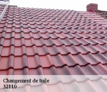 Changement de tuile 32110