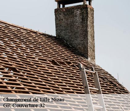 Changement de tuile nizas-32130 GR Couverture 32