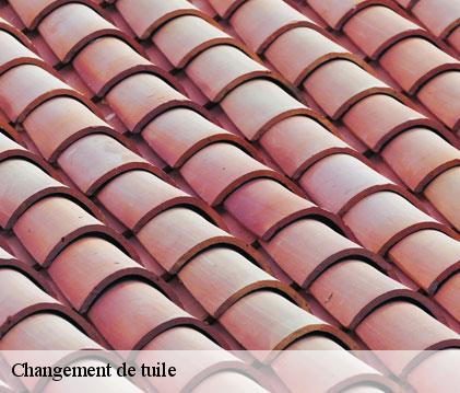 Changement de tuile  puycasquier-32120 GR Couverture 32