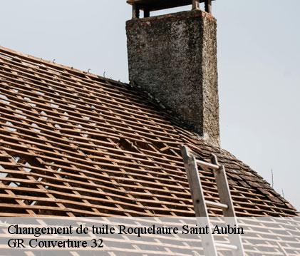 Changement de tuile roquelaure-saint-aubin-32430 GR Couverture 32