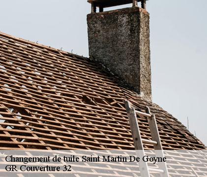 Changement de tuile saint-martin-de-goyne-32480 GR Couverture 32