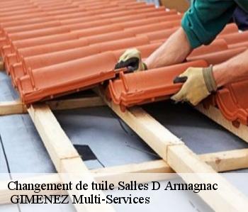 Changement de tuile  salles-d-armagnac-32370  GIMENEZ Multi-Services