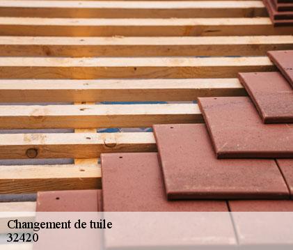 Changement de tuile sarcos-32420 GR Couverture 32