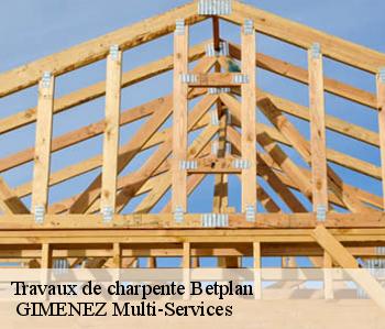 Travaux de charpente  betplan-32730  GIMENEZ Multi-Services