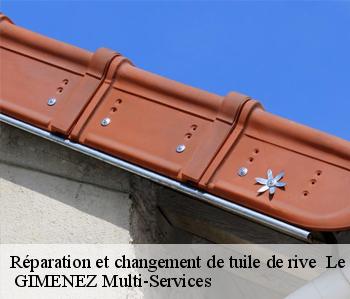 Réparation et changement de tuile de rive   le-brouilh-monbert-32350  GIMENEZ Multi-Services