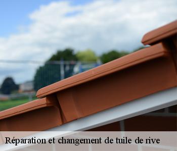 Réparation et changement de tuile de rive 