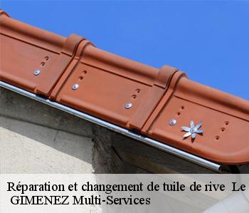 Réparation et changement de tuile de rive   le-houga-32460  GIMENEZ Multi-Services