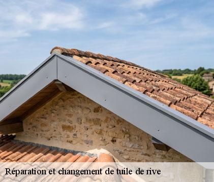 Réparation et changement de tuile de rive lectoure-32700 GR Couverture 32