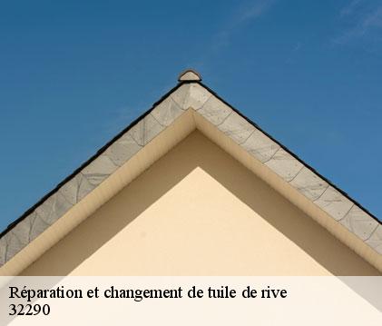 Réparation et changement de tuile de rive loussous-debat-32290 GR Couverture 32