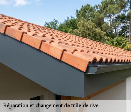 Réparation et changement de tuile de rive sainte-anne-32430 GR Couverture 32