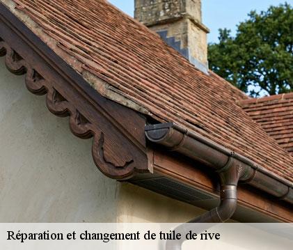 Réparation et changement de tuile de rive saint-mezard-32700 GR Couverture 32