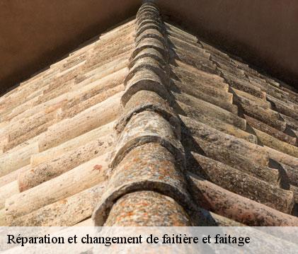 Réparation et changement de faitière et faitage noilhan-32130 GR Couverture 32
